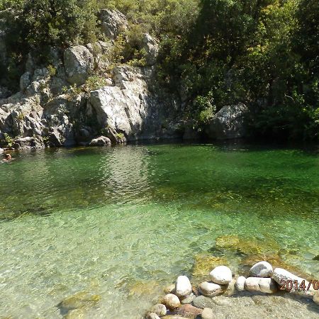 Location Vacances Linguizzetta Luaran gambar
