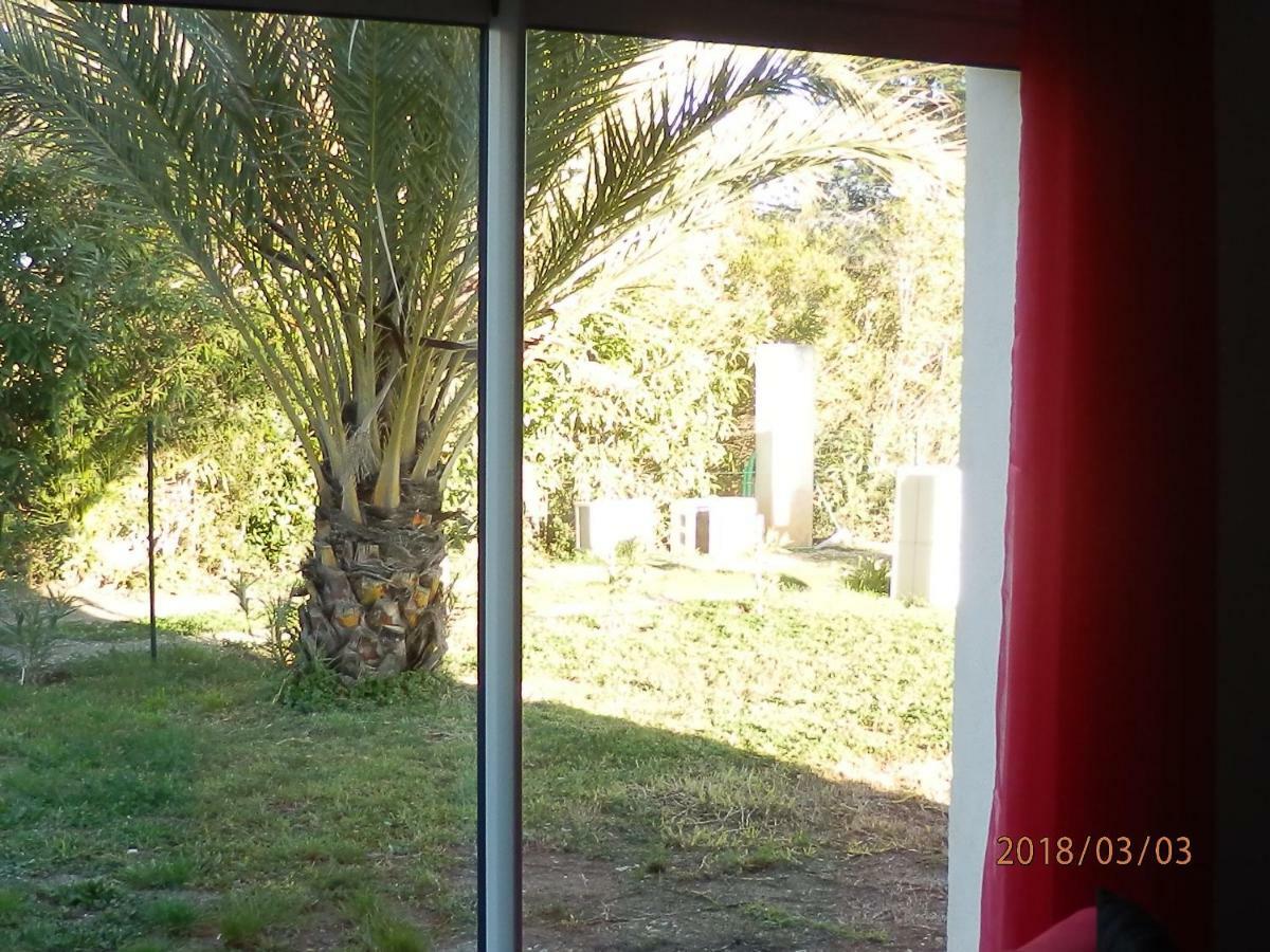 Location Vacances Linguizzetta Luaran gambar