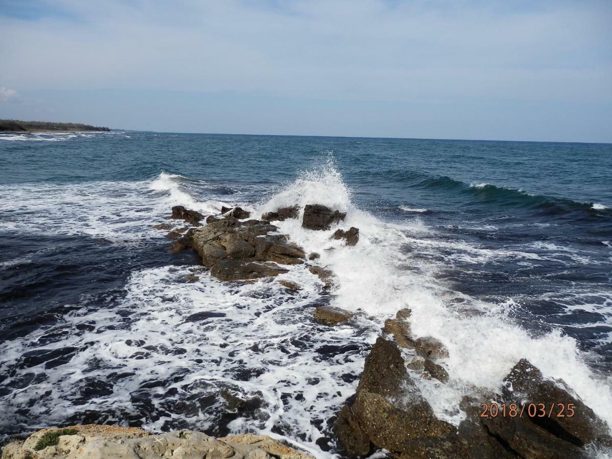 Location Vacances Linguizzetta Luaran gambar