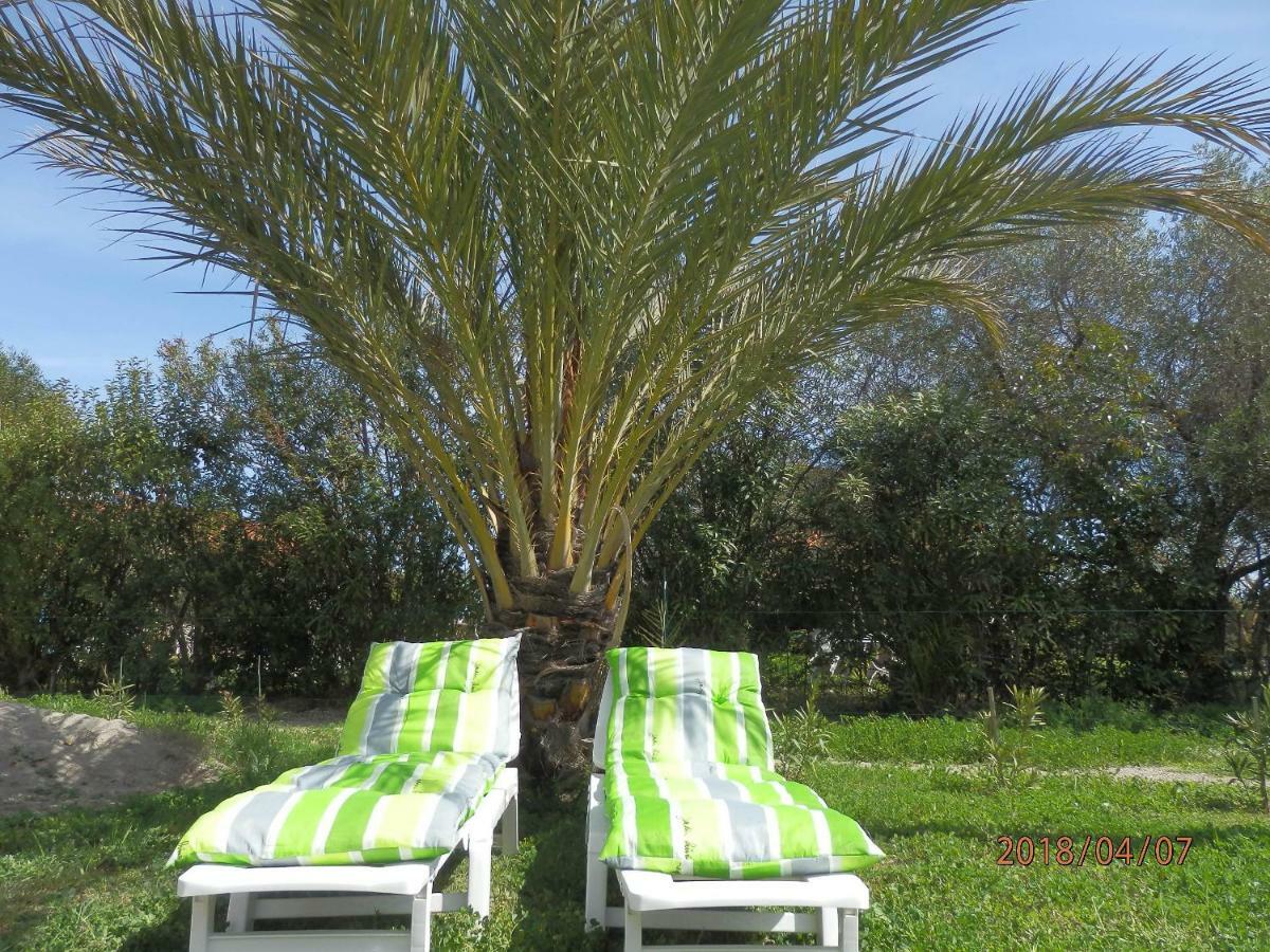 Location Vacances Linguizzetta Luaran gambar