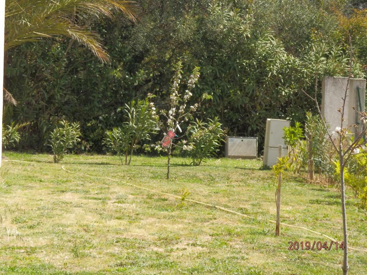 Location Vacances Linguizzetta Luaran gambar